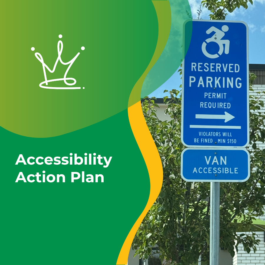 Accessibility Action Plan