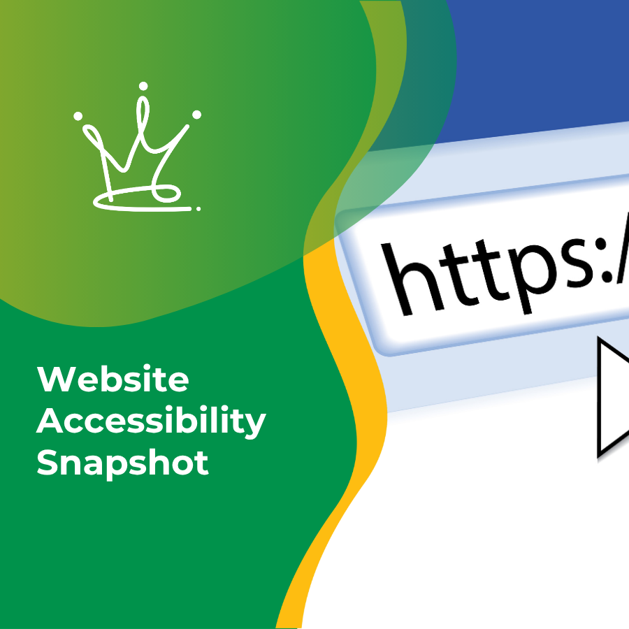 Website Accessibility Snapshot